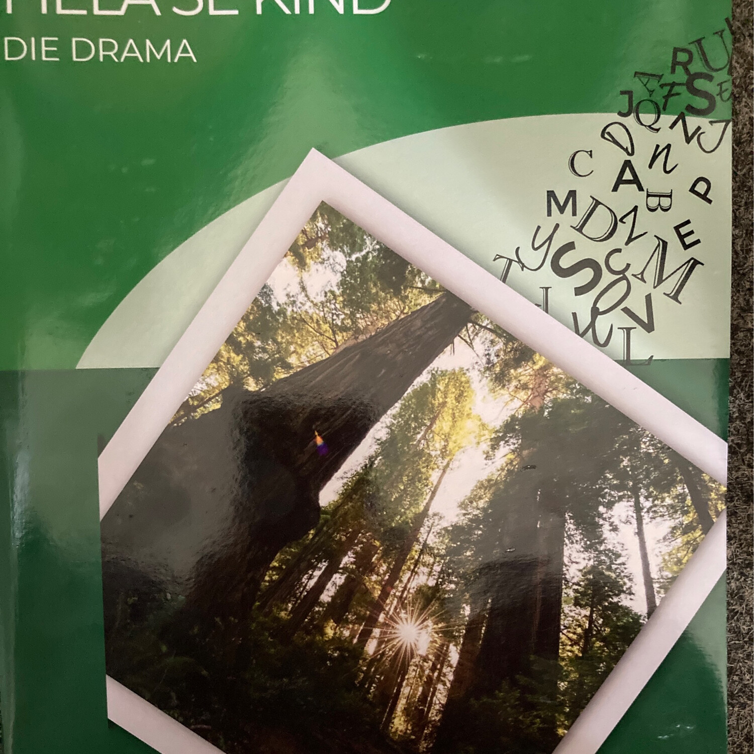 Fiela Se Kind - Die Drama Werkboek