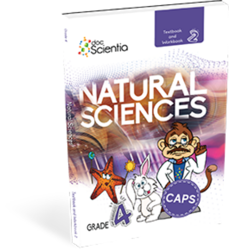 Grade 4 DocScientia Natural Sciences Book 2 Text/Wbk (Black and White)
