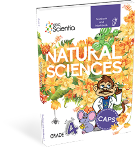 Grade 4 DocScientia Natural Sciences Book 1 Text/Wbk (Black and White)