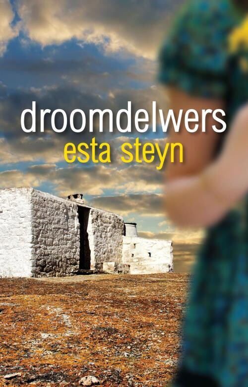 Roman: Droomdelwers