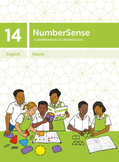 NumberSense Comprehensive Workbook 14