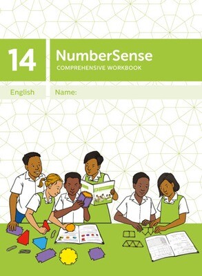 NumberSense Comprehensive Workbook 14