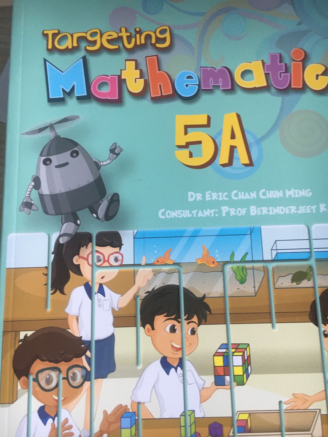 Grade 6 Oxford Targeting Mathematics 5A