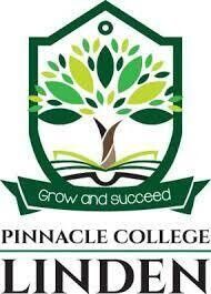 Pinnacle College Grade 12