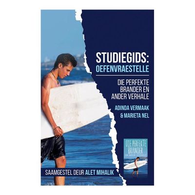 Studiegids: Die perfekte brander en ander verhale