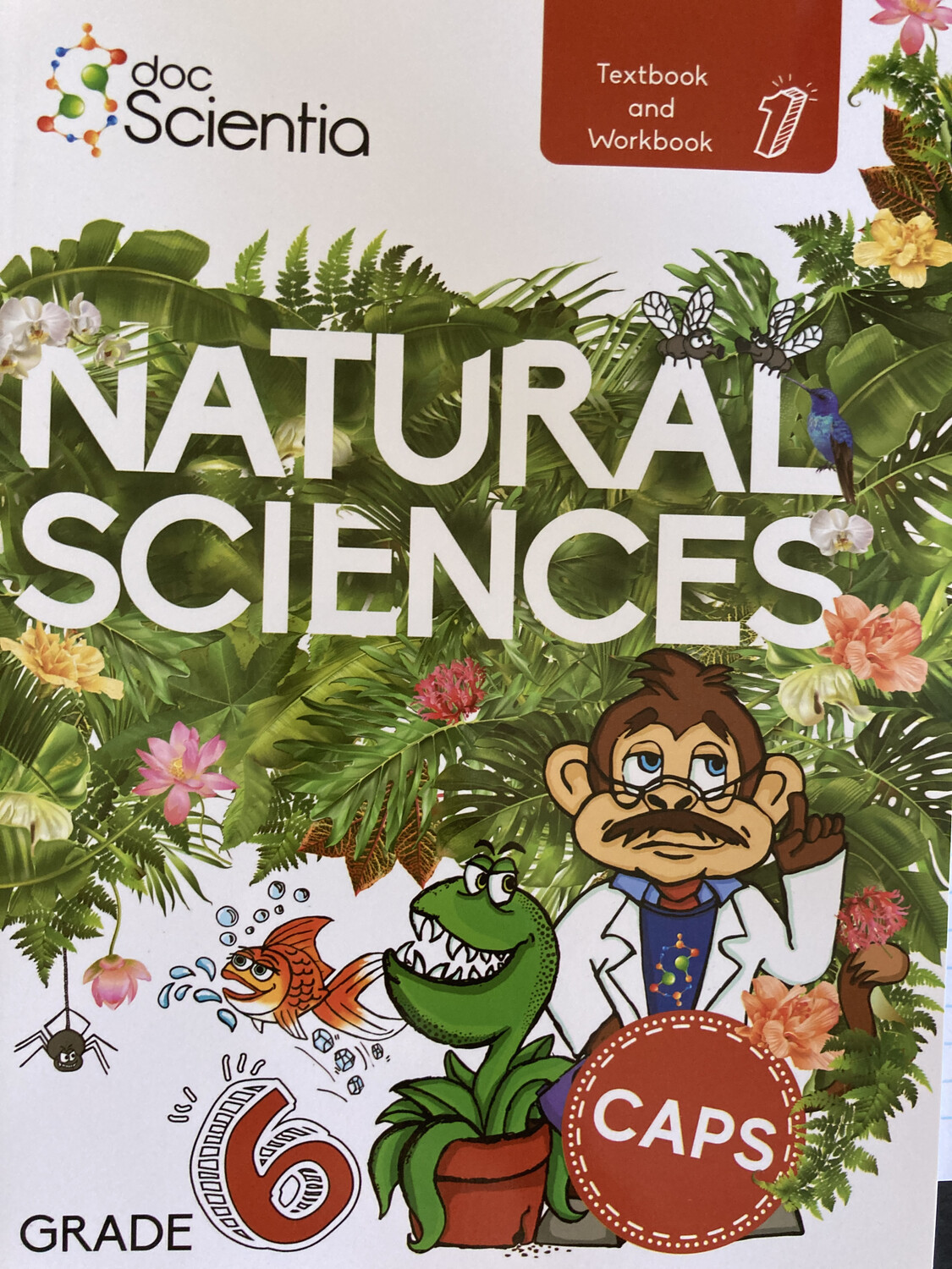Grade 6 DocScientia Natural Sciences Textbook and Workbook BOOK 1 - Black and White Grade 6 DocScientia Natural Sciences Textbook and Workbook BOOK 1 - Black and White