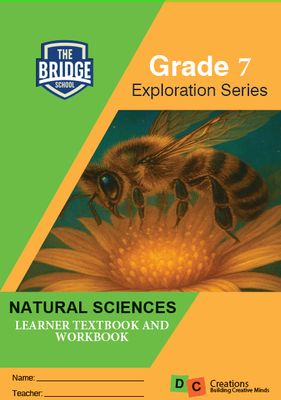 Grade 7 DC Exploration Series Natural Sciences The Bridge