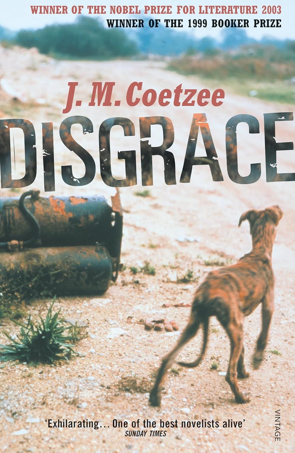Disgrace Disgrace
