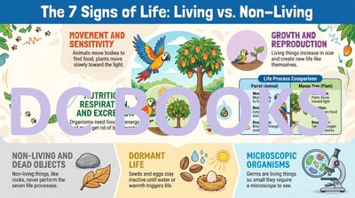 Is it Alive The 7 Signs of Life - Living vs Non-Living