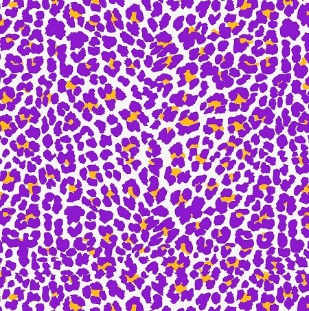 LSU Cheetah