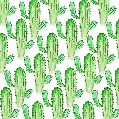 CLEARANCE Cute Cactus
