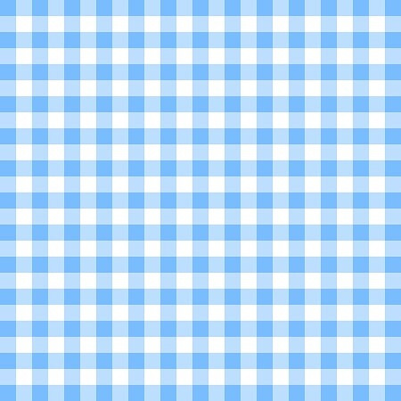 Gingham Baby Blue