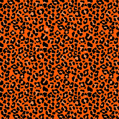 HW Leopard