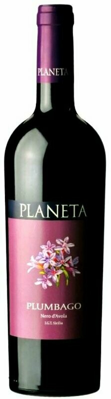Plumbago 2022
