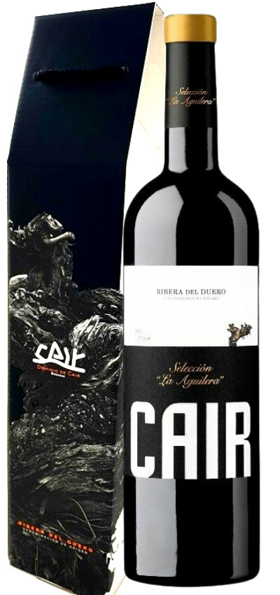 Cair Seleccion La Aguilera 2020