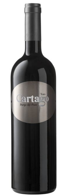Cartago 2020