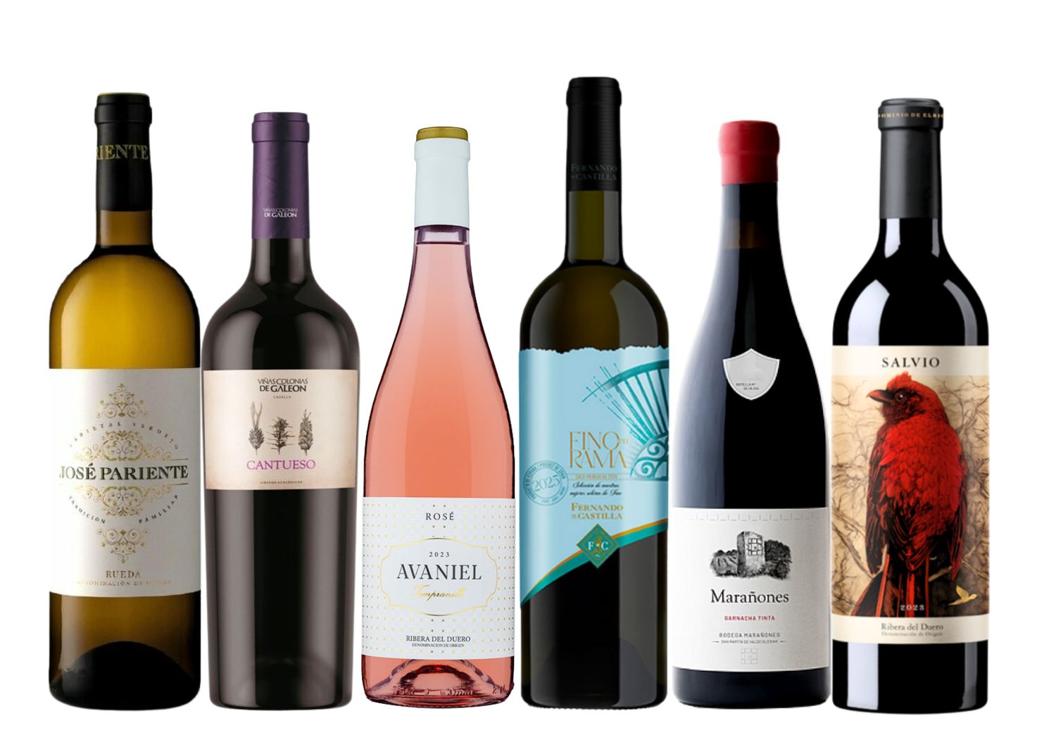 Seleccion de Enero 2026