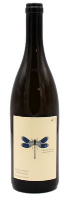 Andreas Tscheppe Blue Drangonfly (No disponible)