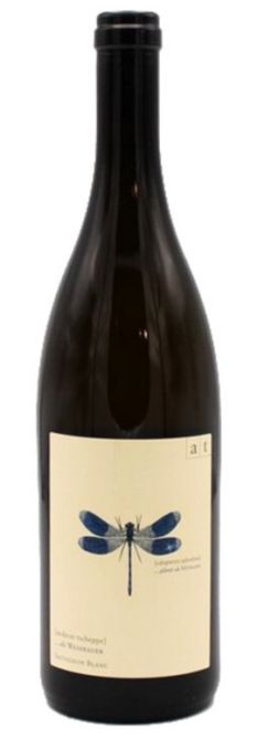 Andreas Tscheppe Blue Drangonfly (No disponible)