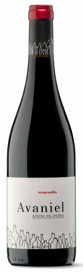 Avaniel Tinto 2025