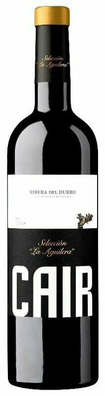 Cair Seleccion La Aguilera 2021