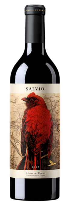 Salvio 2024