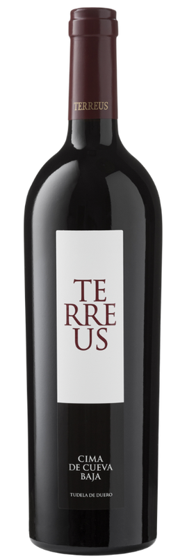Terreus  2023