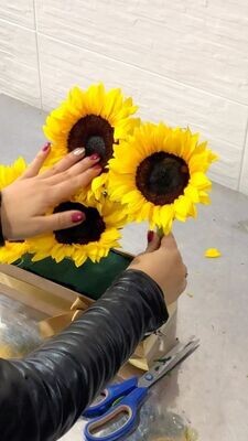 Girasoles frutales l Amor y Amistad