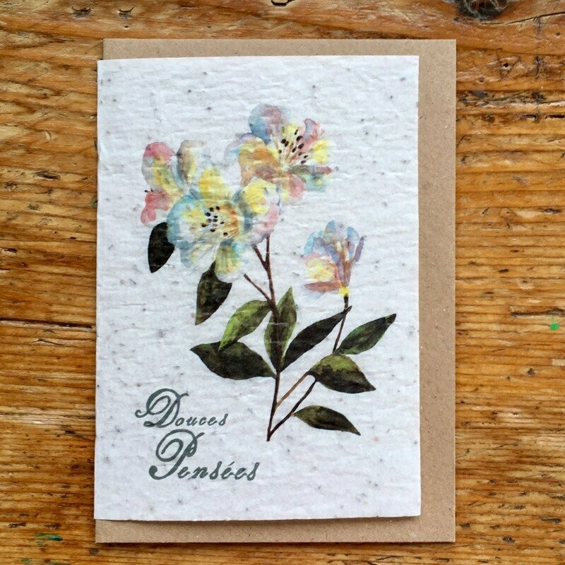 Carte à planter "Pensées" - condoléances