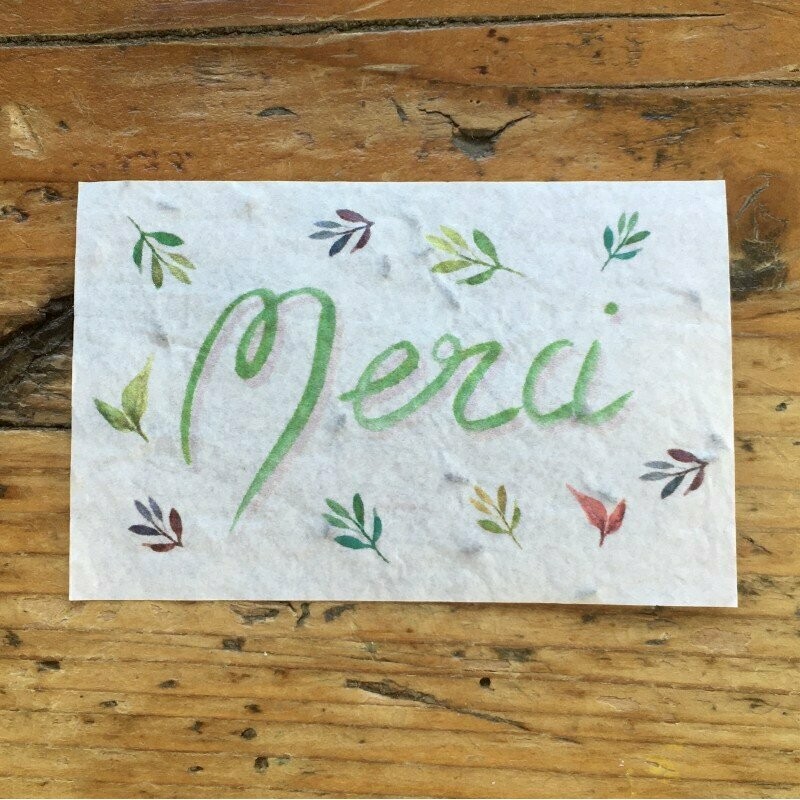 Mini carte à planter "merci salade"