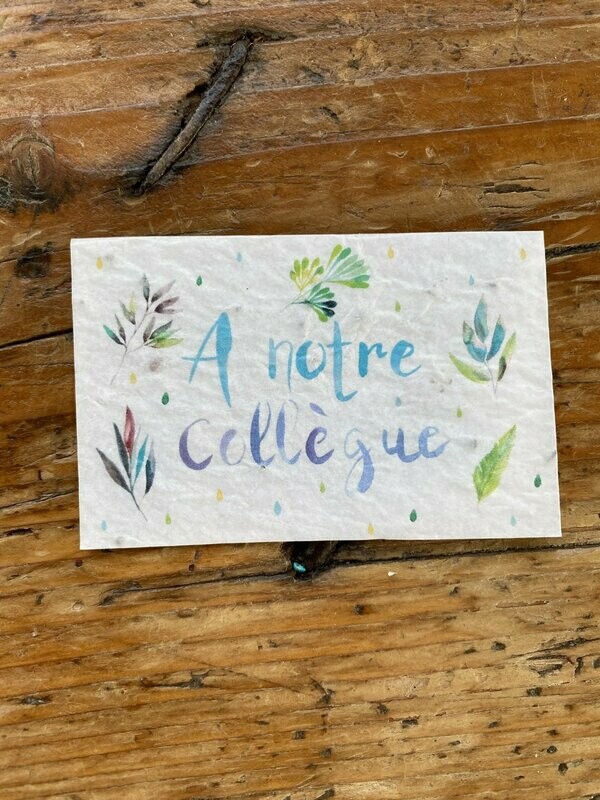 Mini carte à planter double "à notre collègue" fleurs des champs"