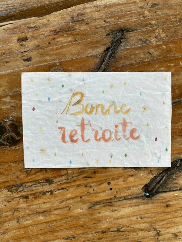 Mini carte à planter double "Bonne retraite" fleurs des champs"