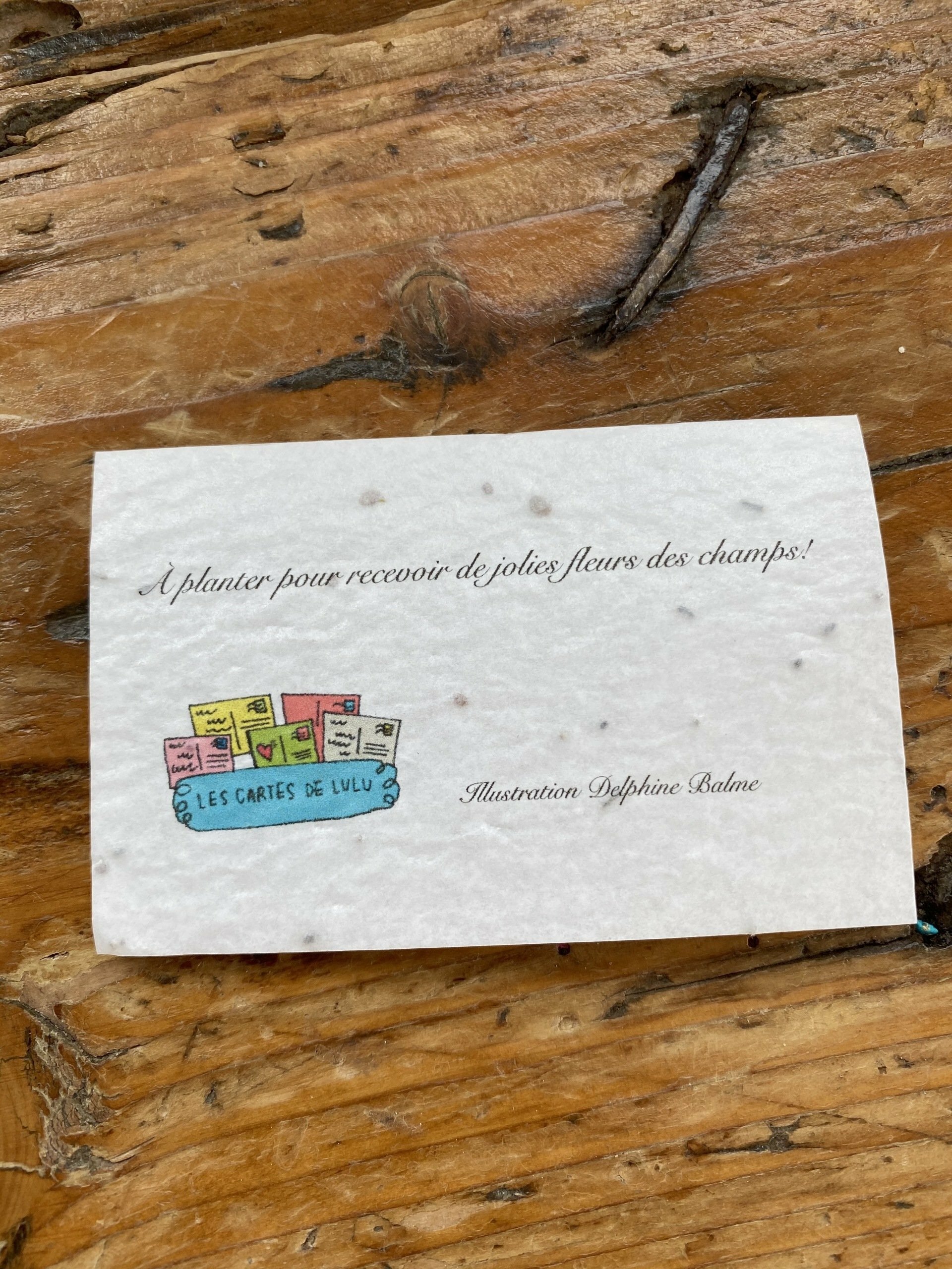 Mini Carte A Planter Double Joyeux Anniversaire Fleurs Des Champs Mini Carte A Planter Double Joyeux Anniversaire Fleurs Des Champs