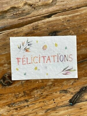Mini carte à planter double "Félicitations" fleurs des champs"