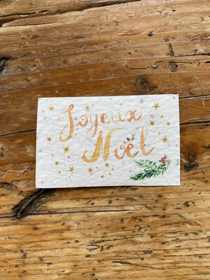 Mini carte à planter double "Joyeux Noël" fleurs des champs