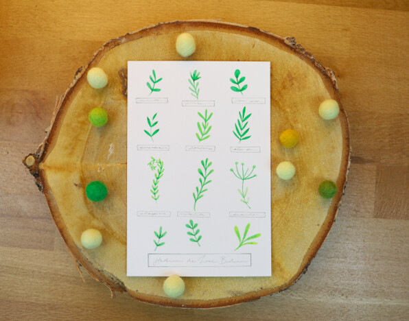 Carte "Herbium"