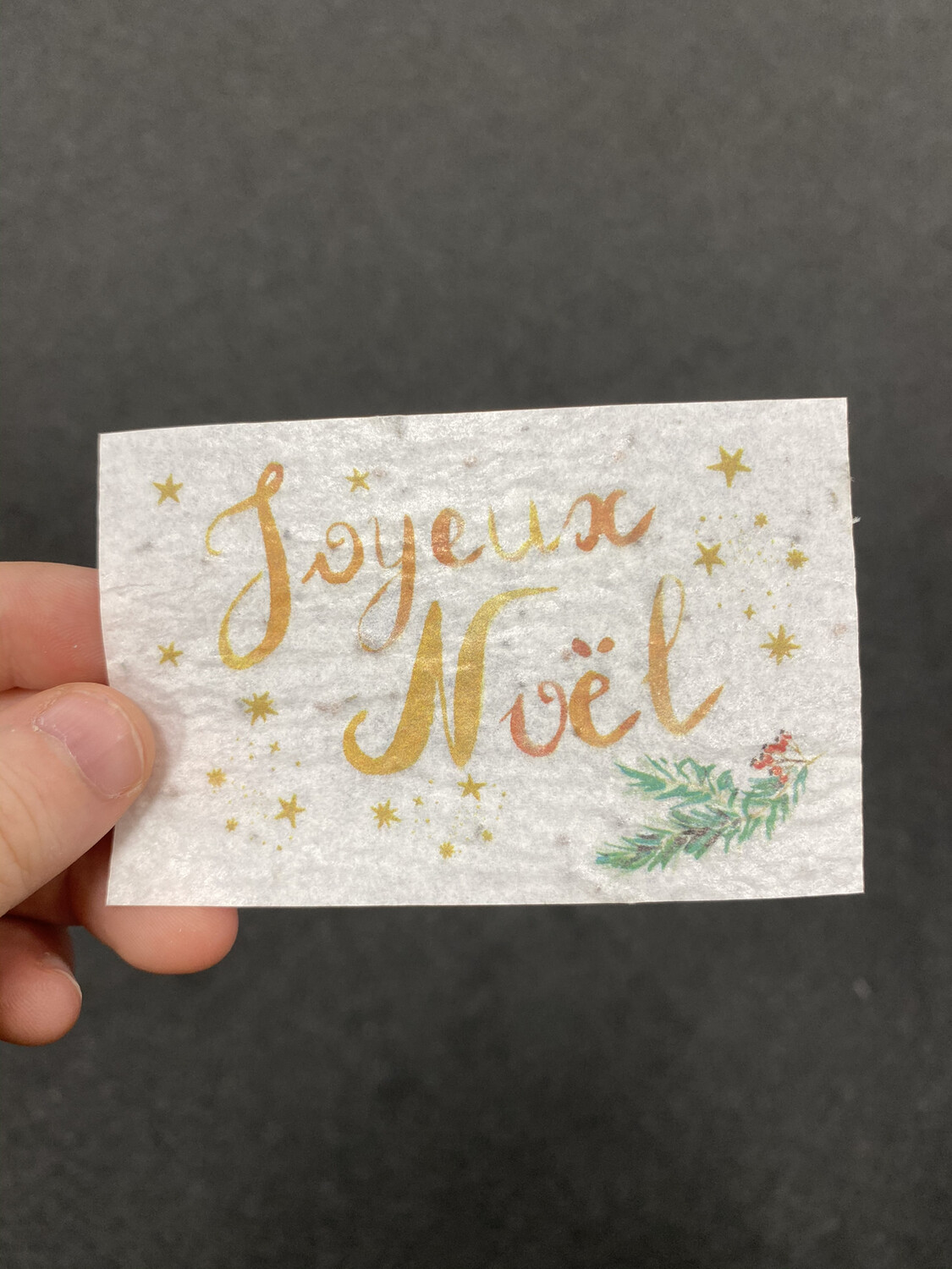 Mini carte à planter « joyeux noël »  fleurs des champs