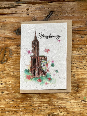 Carte à planter " Cathédrale de Strasbourg"