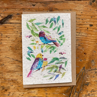 Carte à planter " oiseaux "