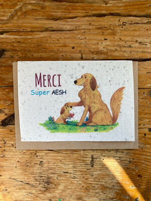 Carte à planter "Merci super AESH"