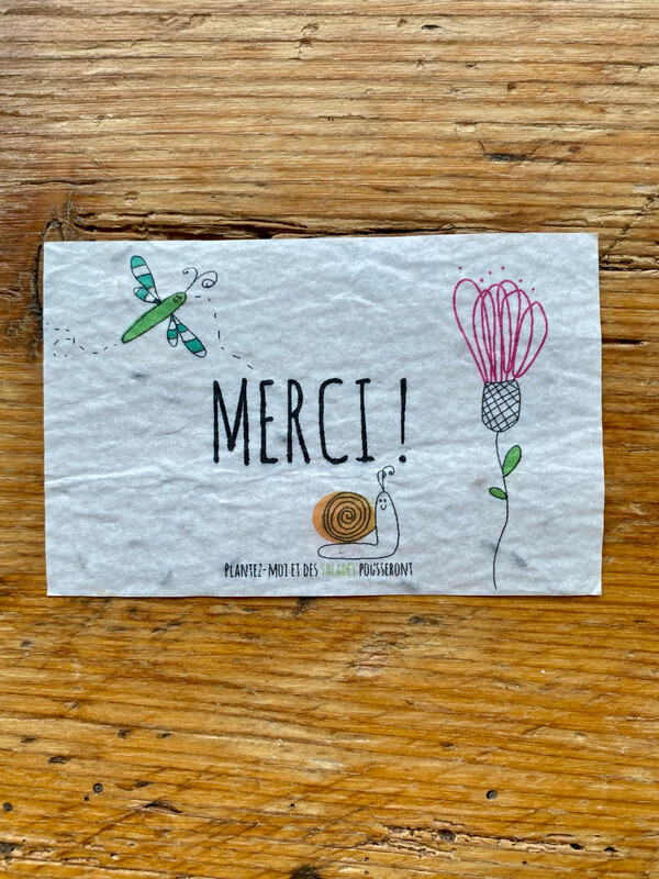 Mini carte à planter "merci salade escargot"