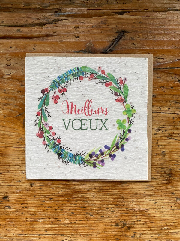 Carte à planter " Meilleurs vœux "