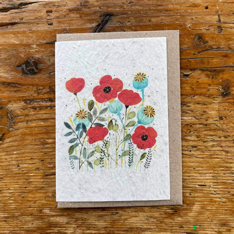 Carte à planter " Poppies - coquelicot "