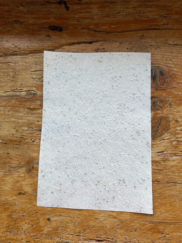 Feuille de papier ensemencé A4