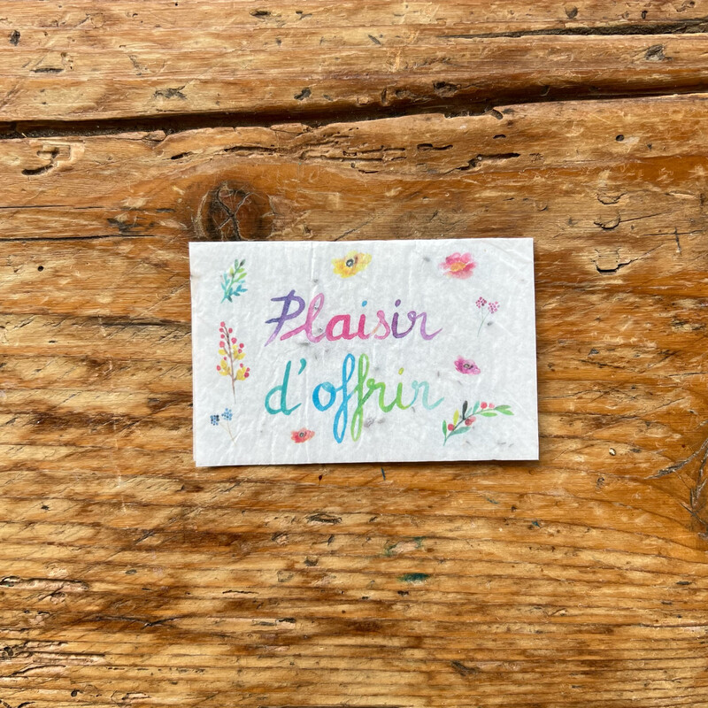Mini carte à planter double " plaisir d’offrir " fleurs des champs"