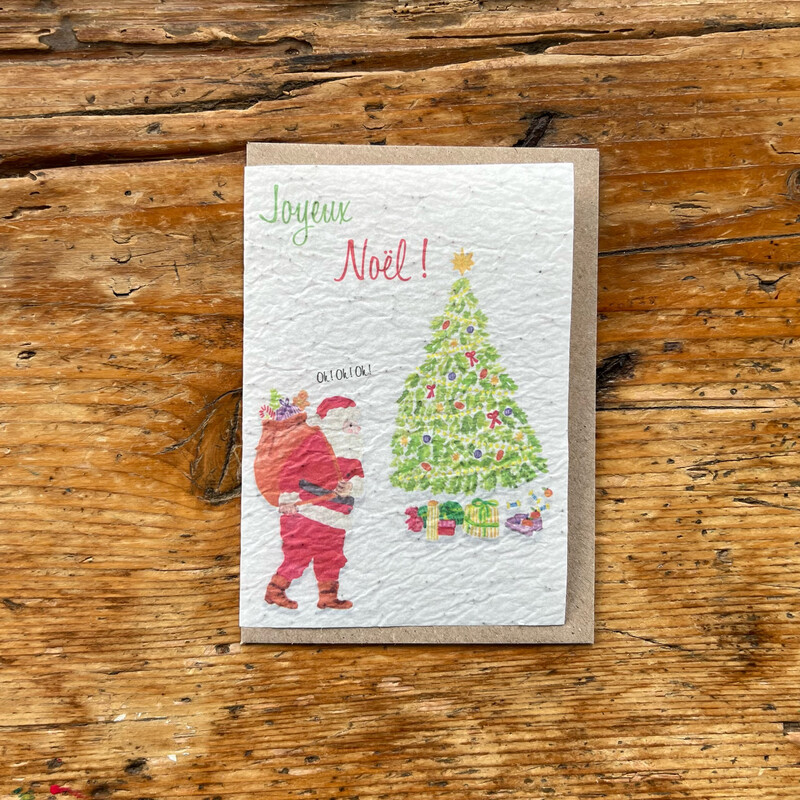 Carte à planter " Père Noël " ??