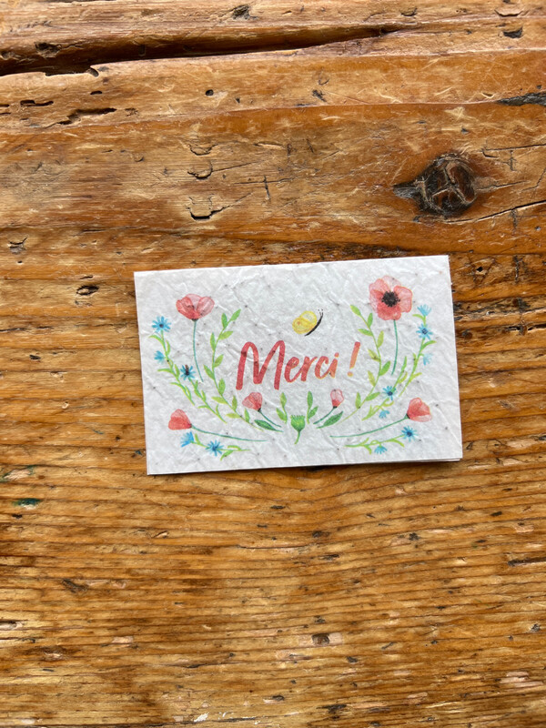 Mini carte à planter double "Merci" coquelicots