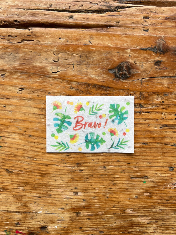 Mini carte à planter double "Bravo " Menthe