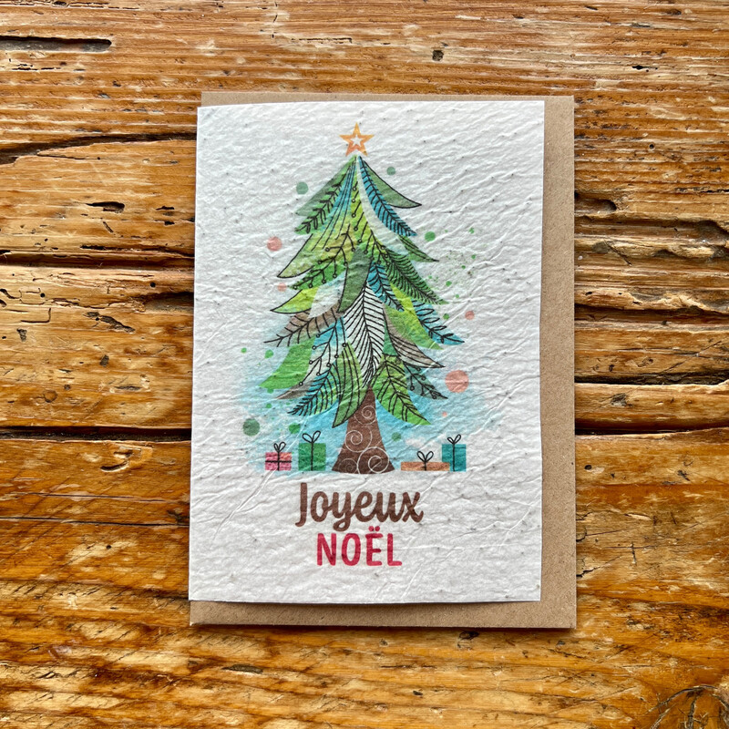 Carte à planter " Joyeux Noël - menthe "