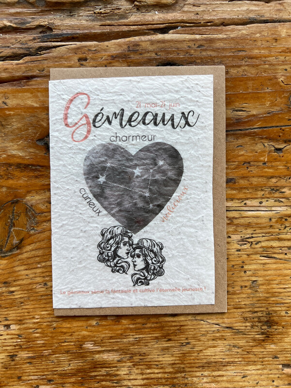 Carte à planter signe astrologique du zodiaque " Gémeaux "